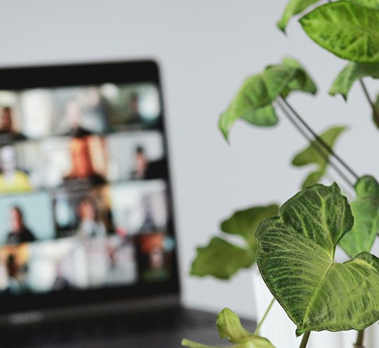 psihoterapie online psihologie online